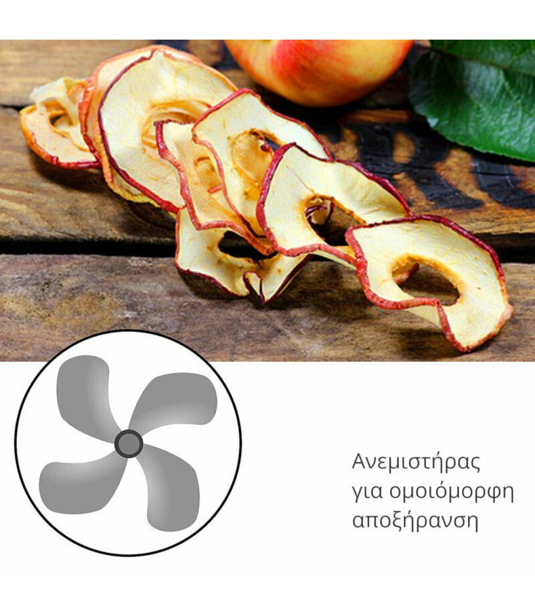 First Austria Αποξηραντής Τροφίμων με 5 Ράφια και Ρυθμιζόμενη Θερμοκρασία 35-70°C FA 5126-6