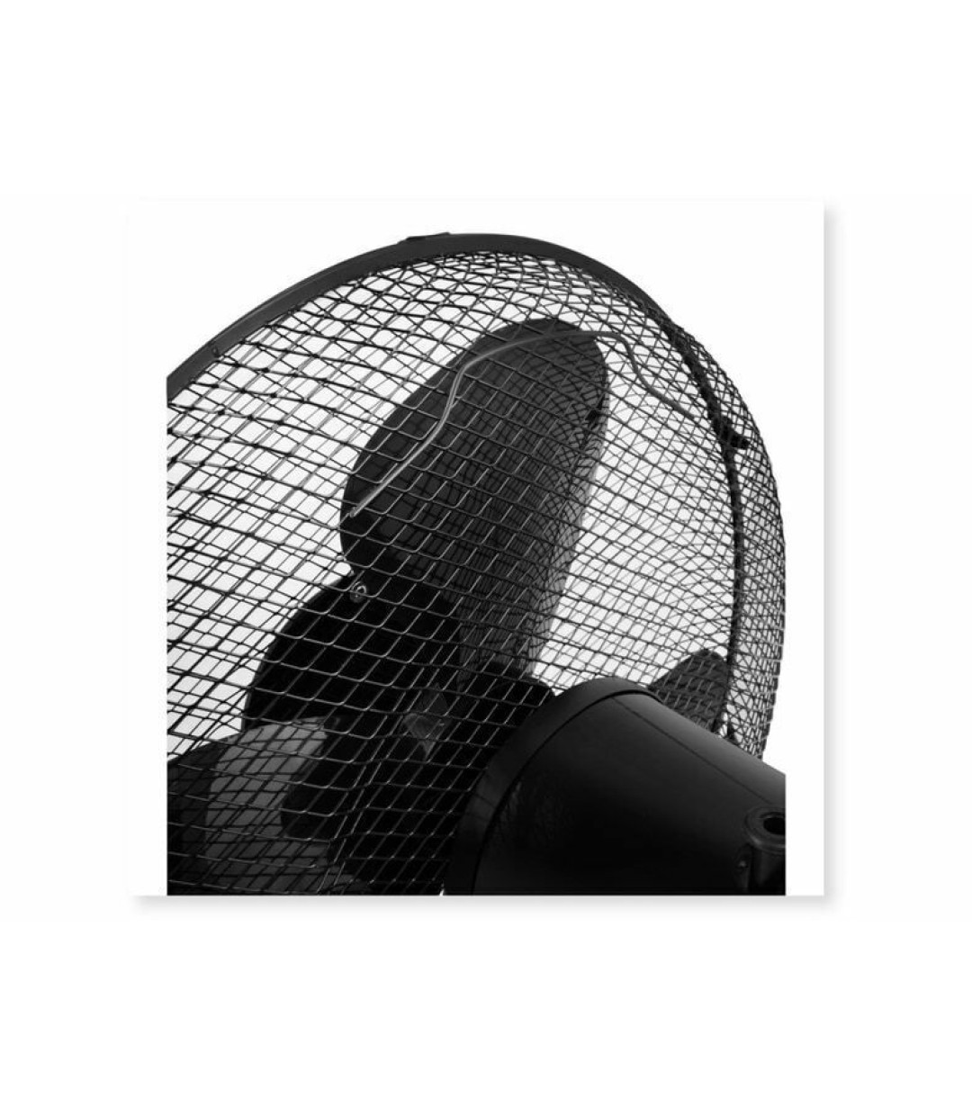 Rohnson R-8361 Επιτραπέζιος Ανεμιστήρας 35W Διαμέτρου 30cm