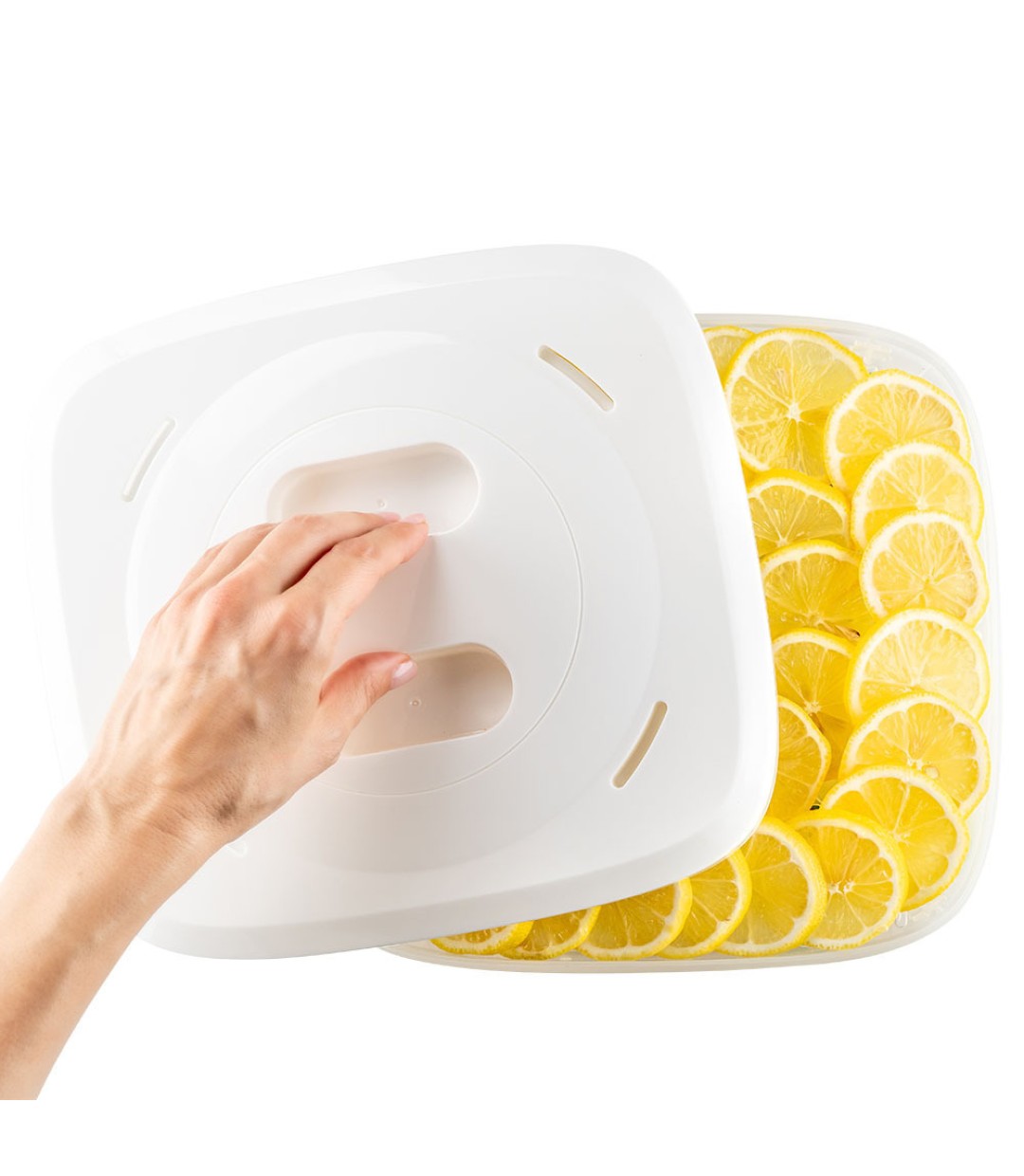 Muhler Αποξηραντής Τροφίμων με 5 Ράφια και Ρυθμιζόμενη Θερμοκρασία 35-70°C DHY-300T