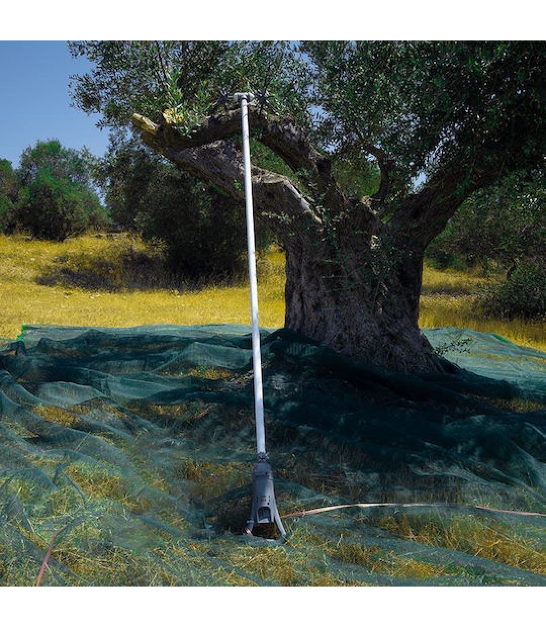 Nakayama NZ1100 Ελαιοραβδιστικό Μπαταρίας 250W Τύπου Αχινός με Σταθερό Κοντάρι 2.3m και Βάρος 2.8kg