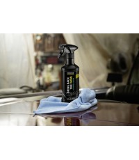 Karcher RM 651 Καθαριστικό / Γυαλιστικό και Προστατευτικό Σπρέι για Ταμπλό Αυτοκινήτου 500ml Κωδικός: 6.296-106.0 