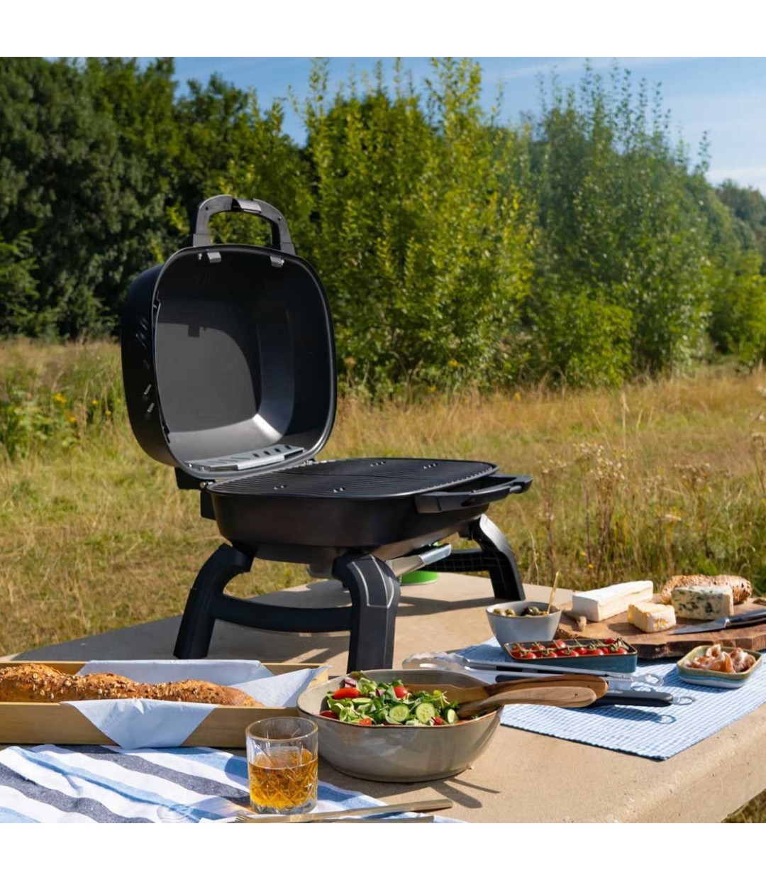 Napoleon TravelQ 240 Φορητή Ψησταριά Υγραερίου Σχάρας 34x49εκ. με 1 Εστία 2.6kW