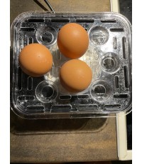 ΑΥΓΟΒΡΑΣΤΗΣ BRUNO BRN-0156 8 ΘΕΣΕΩΝ