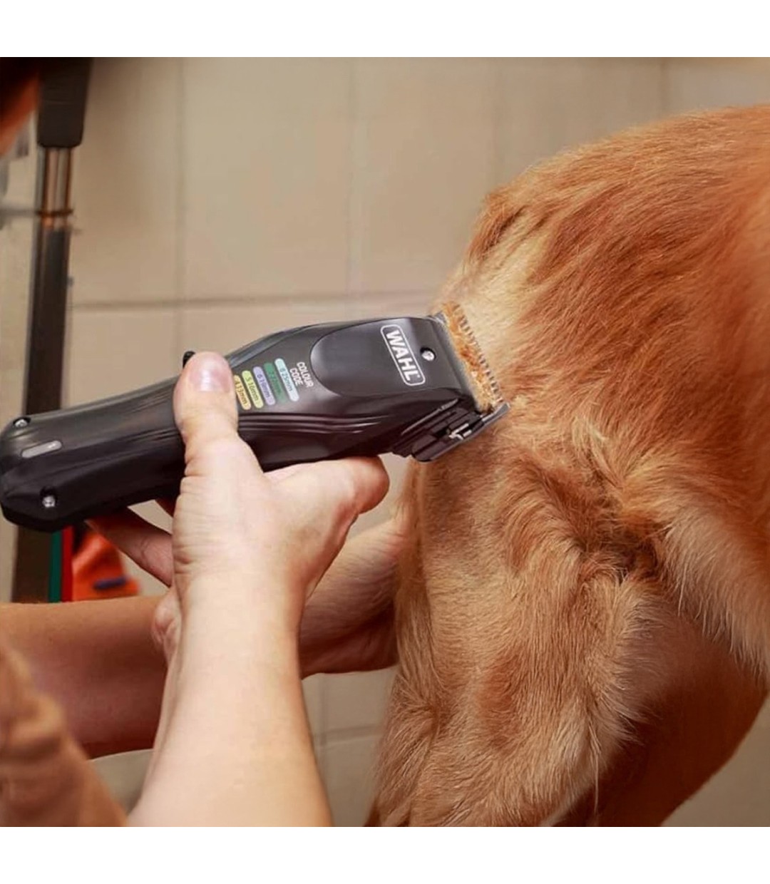  Επαγγελματική Κουρευτική Μηχανή Σκύλων Επαναφορτιζόμενη 6000rpm Μαύρο 3027682