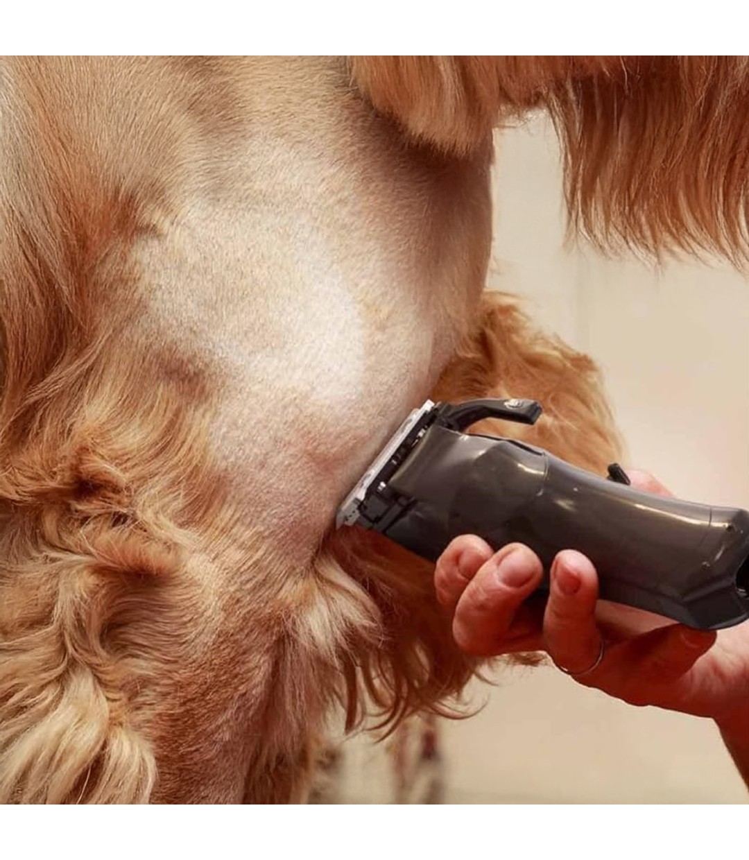  Επαγγελματική Κουρευτική Μηχανή Σκύλων Επαναφορτιζόμενη 6000rpm Μαύρο 3027682