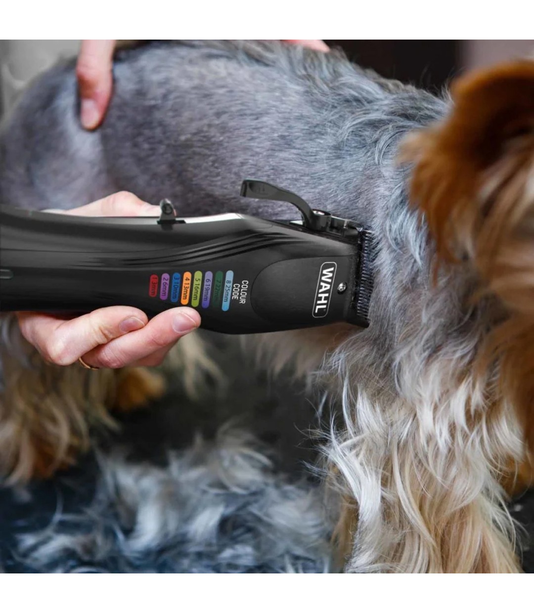  Επαγγελματική Κουρευτική Μηχανή Σκύλων Επαναφορτιζόμενη 6000rpm Μαύρο 3027682