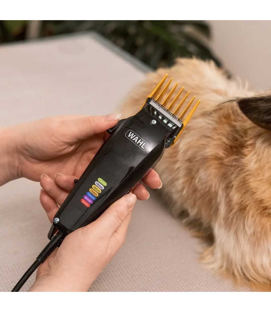  Κουρευτική Μηχανή Σκύλων Ρεύματος 7200rpm Μαύρο 3027683