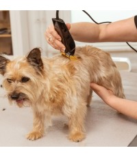  Κουρευτική Μηχανή Σκύλων Ρεύματος 7200rpm Μαύρο 3027683