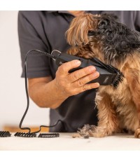  Κουρευτική Μηχανή Σκύλων Ρεύματος από Ανοξείδωτο Ατσάλι 6000rpm Μαύρο 1406-0482