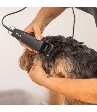  Κουρευτική Μηχανή Σκύλων Ρεύματος από Ανοξείδωτο Ατσάλι 6000rpm Μαύρο 1406-0482