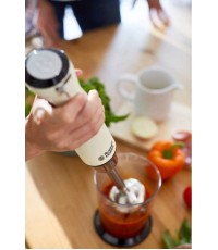 Russell Hobbs Retro Vintage RH 25232-56 Ραβδομπλέντερ με Ανοξείδωτη Ράβδο 700W Μπεζ 