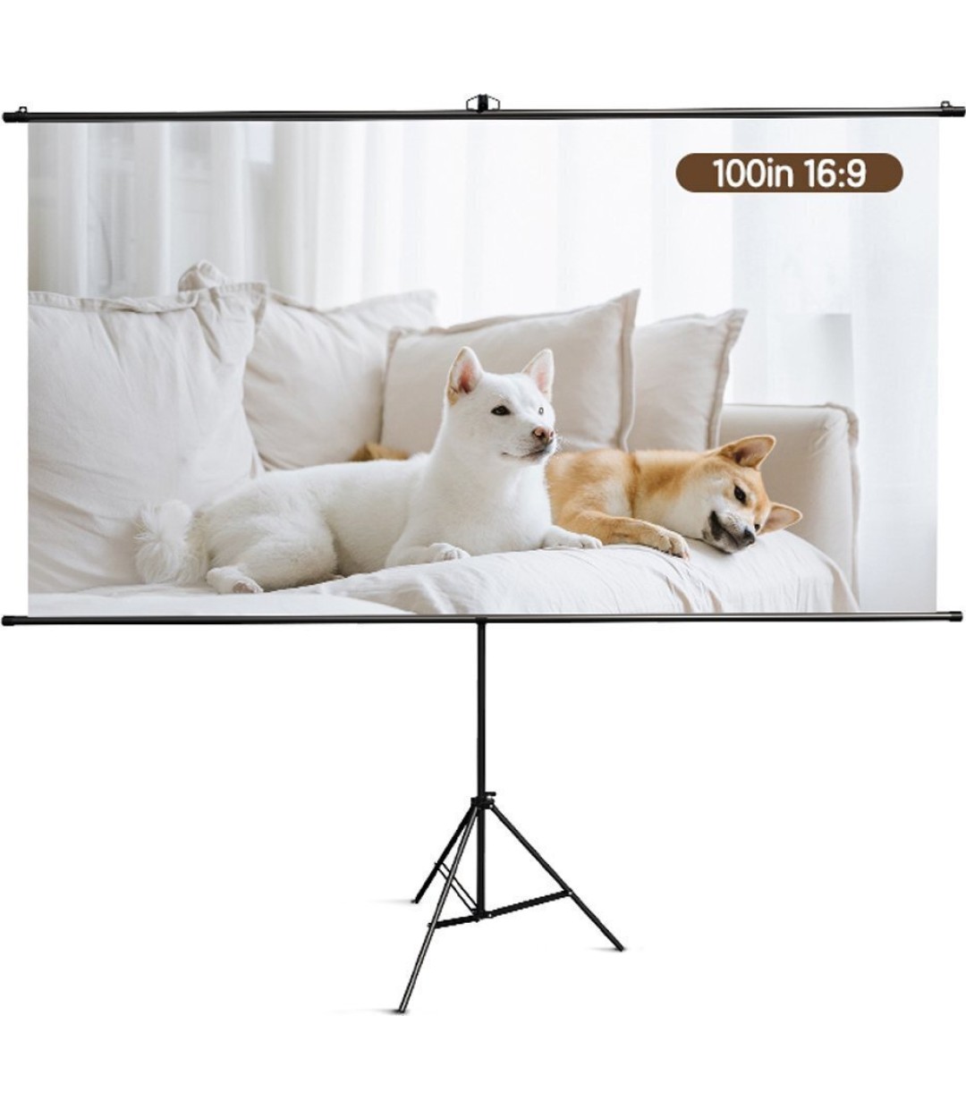 Deli Οθόνη Προβολής Projector Δαπέδου / 100" ES903