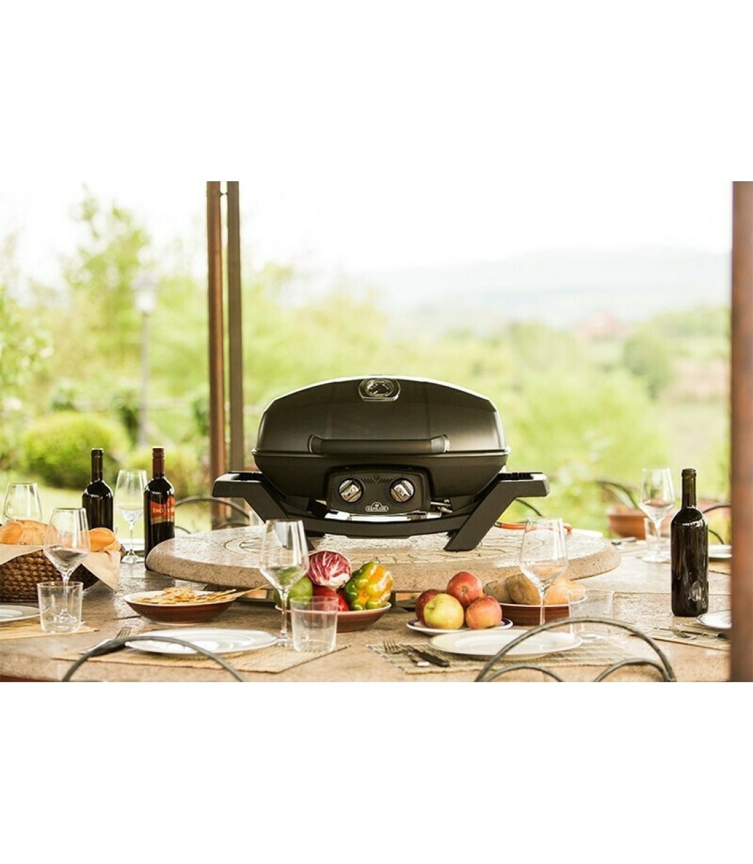  Napoleon TravelQ PRO 285-BK-GR  Φορητή Ψησταριά Υγραερίου Μαντεμένιας Σχάρας 54x37εκ. με 2 Εστίες 4.1kW 