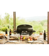  Napoleon TravelQ PRO 285-BK-GR  Φορητή Ψησταριά Υγραερίου Μαντεμένιας Σχάρας 54x37εκ. με 2 Εστίες 4.1kW 