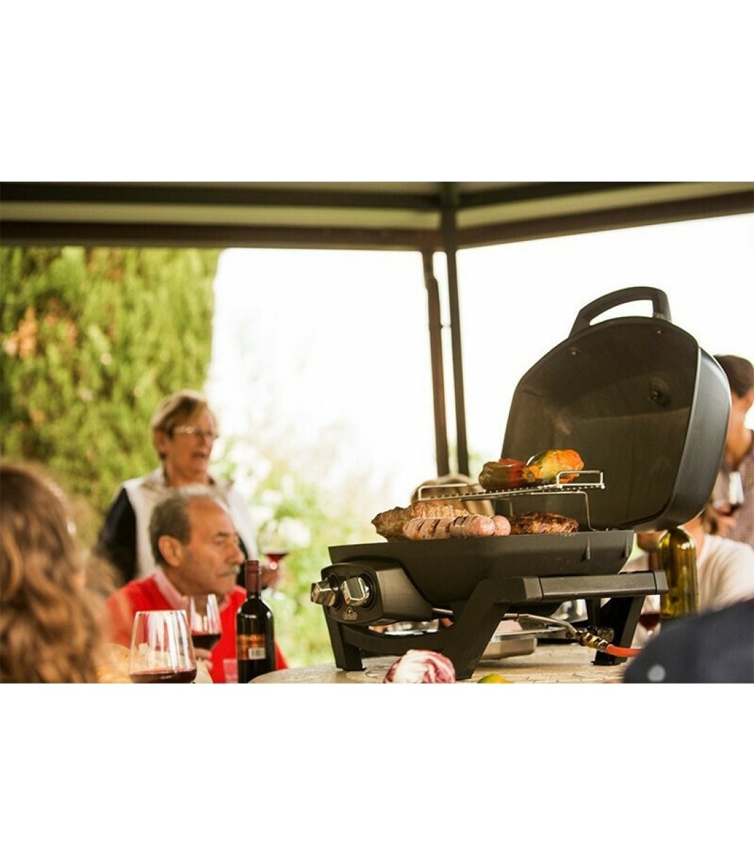  Napoleon TravelQ PRO 285-BK-GR  Φορητή Ψησταριά Υγραερίου Μαντεμένιας Σχάρας 54x37εκ. με 2 Εστίες 4.1kW 