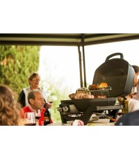  Napoleon TravelQ PRO 285-BK-GR  Φορητή Ψησταριά Υγραερίου Μαντεμένιας Σχάρας 54x37εκ. με 2 Εστίες 4.1kW 