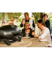  Napoleon TravelQ PRO 285-BK-GR  Φορητή Ψησταριά Υγραερίου Μαντεμένιας Σχάρας 54x37εκ. με 2 Εστίες 4.1kW 