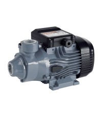 Nakayama Pro NP2025 Αντλία Περιφερειακή 750W (036036)
